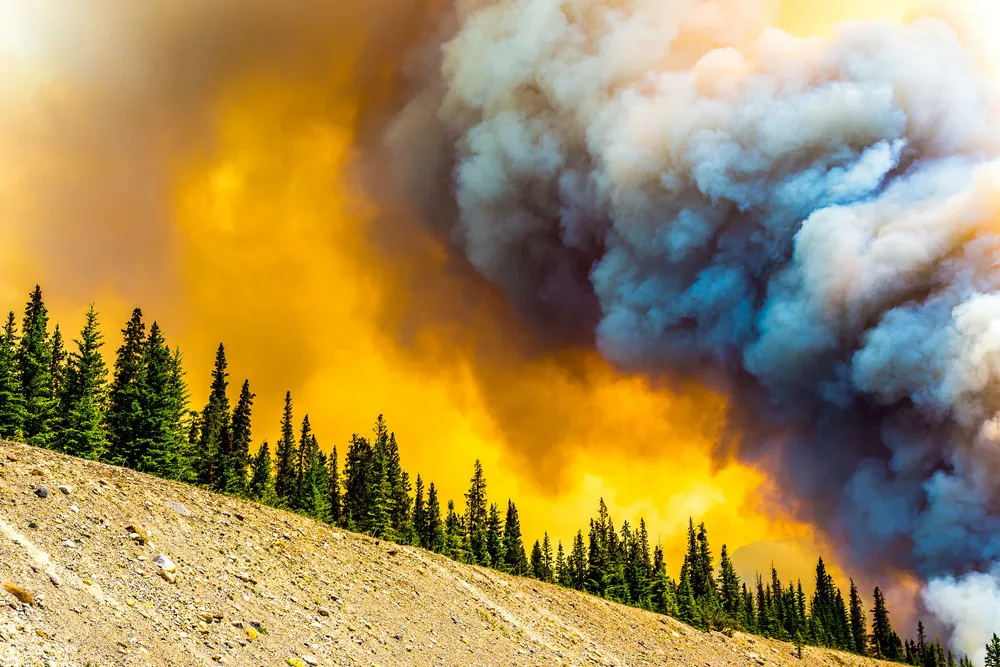 2014 National Geographic Photo Contest, Week 8