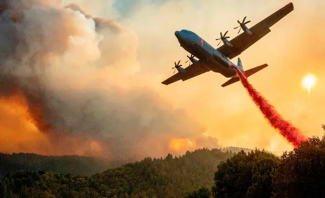 An aircraft drops fire retardant on a ridge during the Walbridge fire, part of the larger LNU Lightning Complex fire as flames continue to spread in Healdsburg, California on August 20, 2020. A series of massive fires in northern and central California forced more evacuations as they quickly spread August 20, darkening the skies and dangerously affecting air quality. (Photo by Josh Edelson/AFP Photo)