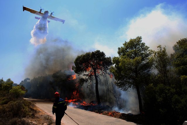 A firefighting airplane in action amid a wildfire that broke out in the area of Keratea, Southeast Attica, Greece, 09 August 2025. Major and destructive wildfires that began on 08 August in Keratea, Attica, and Helidoni, Ilia, near Ancient Olympia, had largely subsided by 09 August, after firefighting forces battled through the night to contain the flames. (Photo by Alexandros Beltes/EPA)