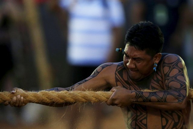An indigenous man from the Baikiri tribe of Brazil competes in a tug-of-war competition at the I World Games for Indigenous Peoples in Palmas, Brazil, October 30, 2015. (Photo by Ueslei Marcelino/Reuters)