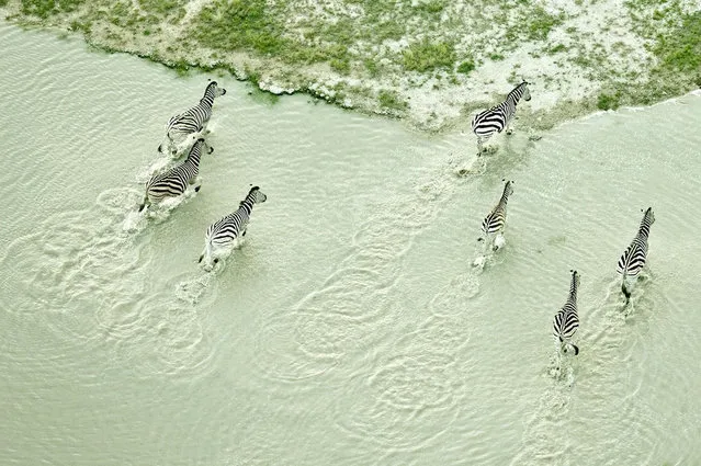 Botswana By Zack Seckler