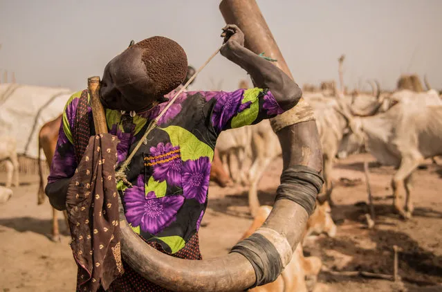 A Sudanese man from Dinka tribe blows on an instrument made from a cow' s horn at their cattle camp in Mingkaman, Lakes State, South Sudan on March 3, 2018. (Photo by  Stefanie Glinski/AFP Photo)