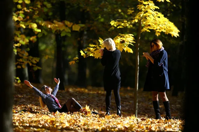 Women enjoy an autumn sunny day in central park in Minsk, Belarus October 13, 2016. (Photo by Vasily Fedosenko/Reuters)