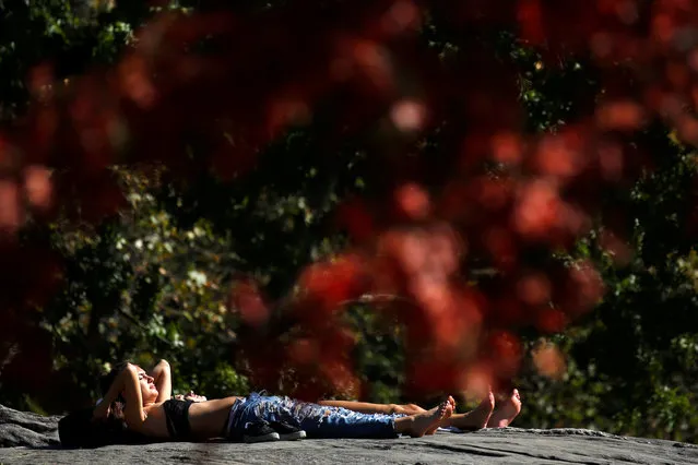 Women lay out in the sun during warm weather at Central Park in New York City, U.S., October 18, 2016. (Photo by Shannon Stapleton/Reuters)