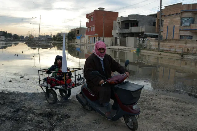An Iraqi man drives a motorcycle, carrying a children and a white flag, in al-Muharibin neighbourhood of Mosul, as people gather for aid distribution on December 8, 2016 during an ongoing government forces operation against Islamic State (IS) group jihadists. (Photo by Mahmoud Al-Samarrai/AFP Photo)