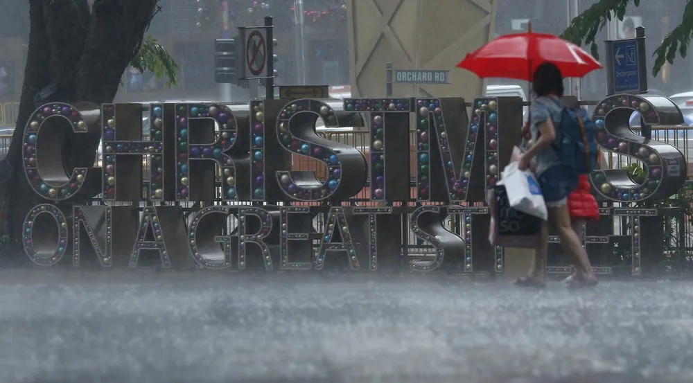 Simply Some Photos: Under an Umbrella