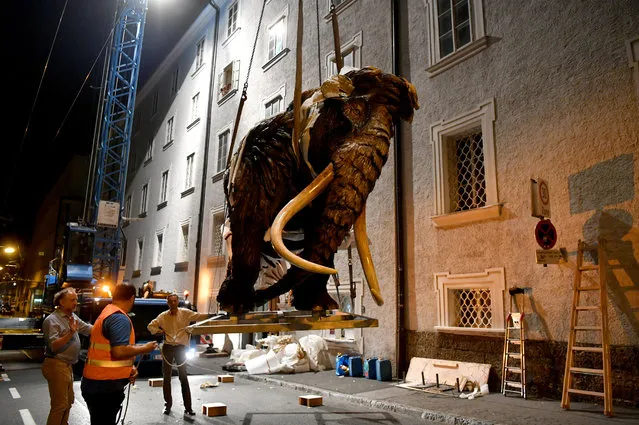 A life-sized wooden mammoth is lifted by a crane to be transported inside the courtyard of the museum “House of Nature” ahead of an exhibition called “Ice Age and Climate” on early July 18, 2018 in Salzburg, Austria. (Photo by Barbara Gindl/AFP Photo/APA)
