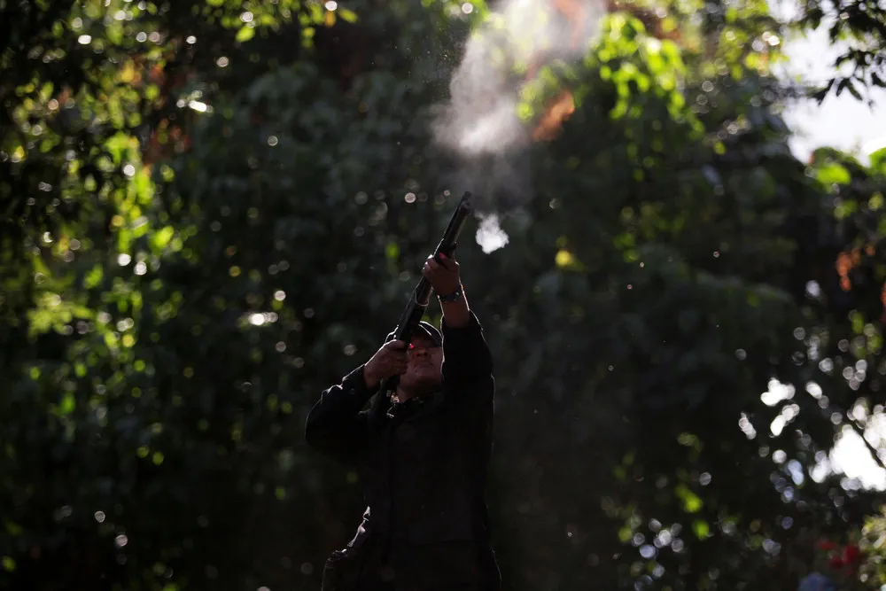 The Day in Photos – November 20, 2016