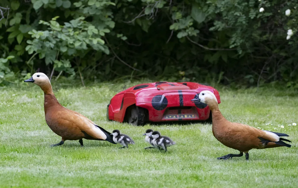 A Look at Life in Russia