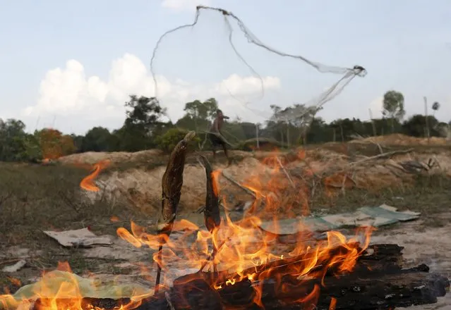 Fish are burned as a man casts a fishing net into a pond at a rice paddy field in Kampong Chhnang province, Cambodia, January 10, 2016. (Photo by Samrang Pring/Reuters)