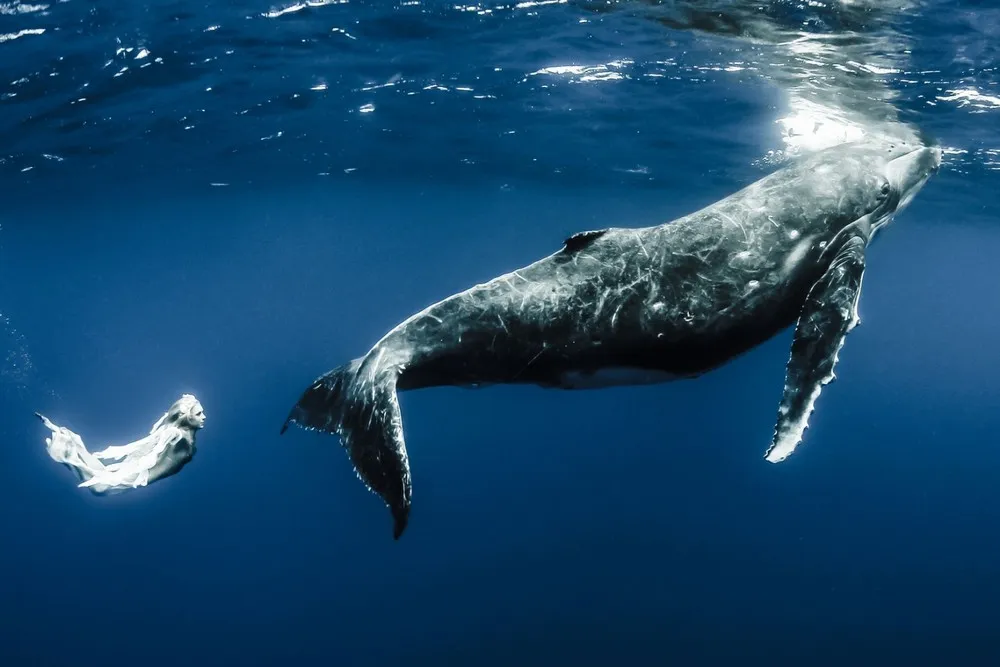 Model's Underwater Shoot with Whales