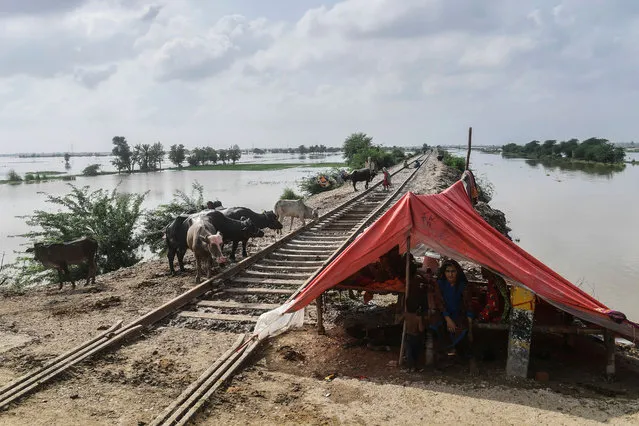 A flood affected family sits inside a makeshift tent next to a railway track after heavy monsoon rains in Jacobabad of Sindh province, southern Pakistan on August 26, 2022. Heavy rain pounded much of Pakistan on August 26 after the government declared an emergency to deal with monsoon flooding it said had affected more than 30 million people. (Photo by Asif Hassan/AFP Photo)