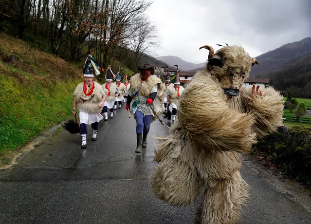 A man dressed as a bear accompanies bell-wearing dancers known as Joaldunak performing a ritual dance to ward off evil spirits and awaken the coming spring, during carnival celebrations in Ituren, northern Spain on January 28, 2019. (Photo by Vincent West/Reuters)