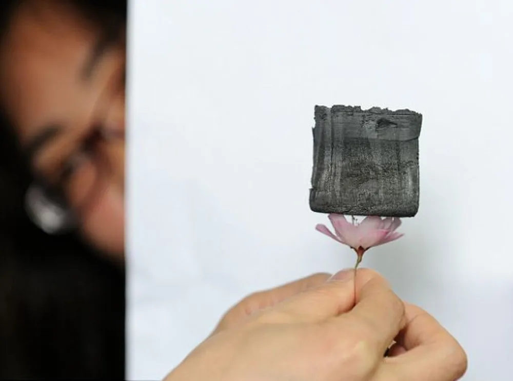 Carbon Aerogel the New Lightest Material