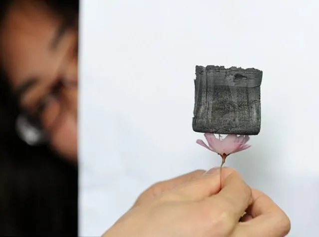 Carbon Aerogel The New Lightest Material