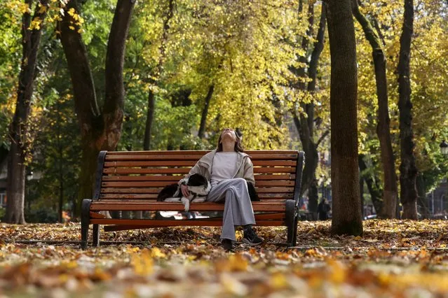 A woman and her dog sit on a bench at a park in Kyiv, on October 27, 2023. (Photo by Anatolii Stepanov/AFP Photo)