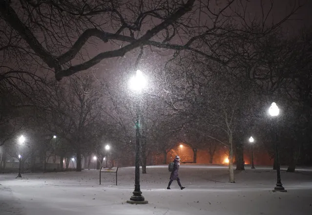 A woman walks across the snowy University of Minnesota campus near Dinkytown neighborhood in Minneapolis on Sunday, January 27, 2019. A winter storm pushing across the Upper Midwest is expected to dump more than a foot of snow in parts of Minnesota and Wisconsin. (Photo by Jeff Wheeler/Star Tribune via AP Photo)