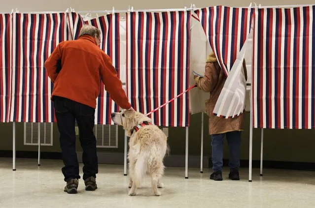 Phil Stokel pets Finn as dog owner Jean Palmer votes at Christ the King Parish, during the New Hampshire presidential primary election, in Concord, New Hampshire on January 23, 2024. (Photo by Reba Saldanha/Reuters)