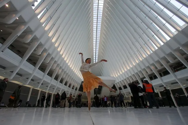 Dancer Laura Rae Bernasconi dances as she poses for photos at the World Trade Center Oculus transportation hub in the Manhattan borough of New York, March 3, 2016. (Photo by Carlo Allegri/Reuters)