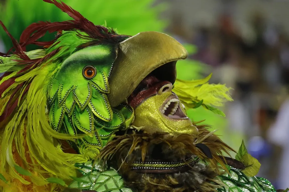 Brazilian Carnival 2014, Part 2