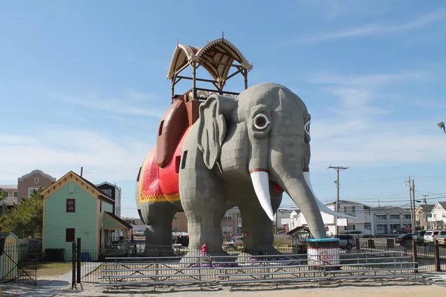 Lucy the Elephant In Margate City