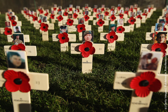 Scotlands First Field Of Remembrance Opens Ahead Of Armistice Day