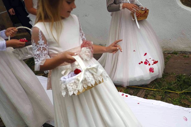 A young devotee throws rose petals during the Corpus Christi procession, in the small town of Bera de Bidasoa, northern Spain, on Sunday, June 2, 2024. Corpus Christi which falls on May 30 but is celebrated on the following Sunday, observes the tradition and belief of the Holy Eucharist, which for Christians represents the body and blood of Jesus Christ. (Photo by Alvaro Barrientos/AP Photo)