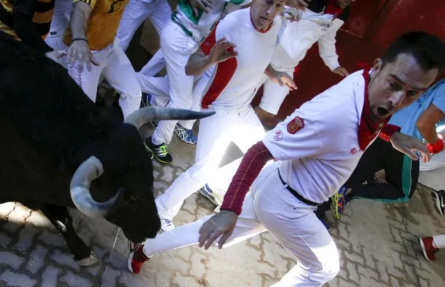 Runners lead a Fuente Ymbro fighting bull at the entrance to the bullring during the fourth running of the bulls at the San Fermin festival in Pamplona, northern Spain, July 10, 2015. (Photo by Joseba Etxaburu/Reuters)