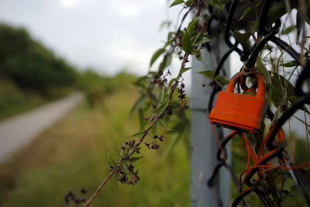 A lock hangs on a fence along the Cliff Walk in Newport, Rhode Island July 14, 2015. (Photo by Brian Snyder/Reuters)