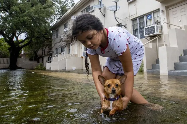 Mileidy Erazo, 6, holds her dog Canelo as he swims in floodwater near her apartment in the Little Havana neighborhood of Miami, Saturday, June 4, 2022. (Photo by Daniel A. Varela/Miami Herald via AP Photo)