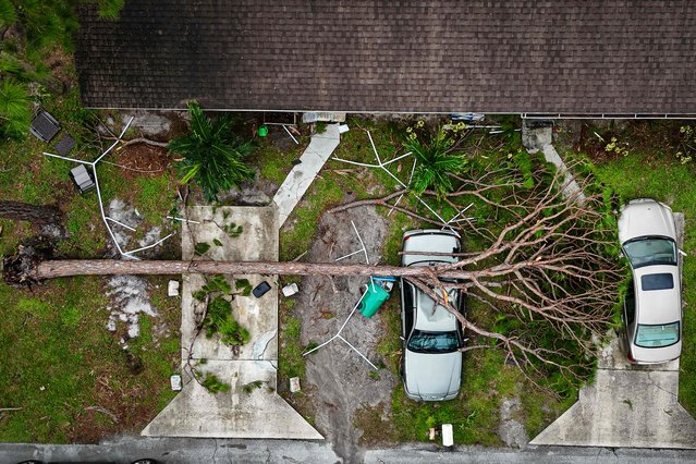 Aerial view of a fallen tree sitting on a car in Port St Lucie, Florida, after a tornado hit the area and caused severe damage as Hurricane Milton swept through Florida on October 11, 2024. The death toll from Hurricane Milton rose to at least 16 on October 11, 2024, officials in Florida said, as residents began the painful process of piecing their lives and homes back together. Nearly 2.5 million households and businesses were still without power, and some areas in the path cut through the Sunshine State by the monster storm from the Gulf of Mexico to the Atlantic Ocean remained flooded. (Photo by Miguel J. Rodriguez Carrillo/AFP Photo)