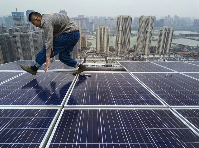 A Chinese worker from Wuhan Guangsheng Photovoltaic Company works on a solar panel project on the roof of a 47 story building in a new development on May 15, 2017 in Wuhan, China. China consumes more electricity than any other nation, but it is also the world's biggest producer of solar energy. Capacity in China hit 77 gigawatts in 2016 which helped a 50% jump in solar power growth worldwide. China is now home to two-thirds of the world's solar production, though capacity and consumption remain low relative to its population.  Still, the country now buys half of the world's new solar panels  which convert sunlight into energy, and are being installed on rooftops in cities and across sprawling fields in rural areas. Greenpeace estimates that by 2030, renewable energy could replace fossil fuels as China's primary source of power, a significant change in a country considered the world's biggest polluter.  China's government has officially committed to development of renewable energies to ease the country's dependence on coal and other fossil fuels, though its strategic investments in the solar panel have created intense global competition. (Photo by Kevin Frayer/Getty Images)