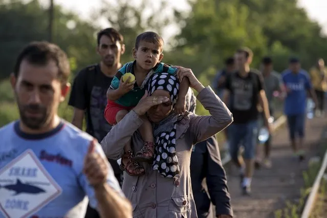 Syrian migrants walk along a railway track to cross the Serbian border with Hungary near the village of Horgos August 27, 2015. (Photo by Marko Djurica/Reuters)