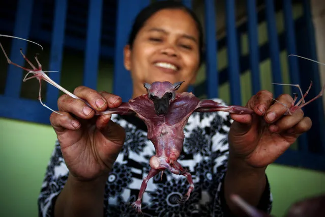 Bat seller Sukarwati shows a skinned bat on July 30, 2009 in Yogyakarta, Indonesia. Sukarwati and her family have hunted bats in the Imogiri region for generations, capturing more than 800 bats per month. The Sukarwati family believe that the meat from the bat heals asthma and respiratory problems and it is a great honour for them knowing that the meat that they provide will help ease people's health ailments