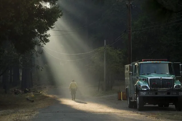 A firefighter walks through smoke while battling the King Fire near Fresh Pond, California September 17, 2014. (Photo by Noah Berger/Reuters)