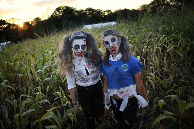 Visitors to the Shocktober Fest dressed as zombies pose at Tulleys Farm  on October 6, 2012 in Turners Hill, England. People dressed as zombies from around the United Kingdom have converged on Tulleys Farm in an attempt to set a new Guinness World Record for the most zombies together in one place