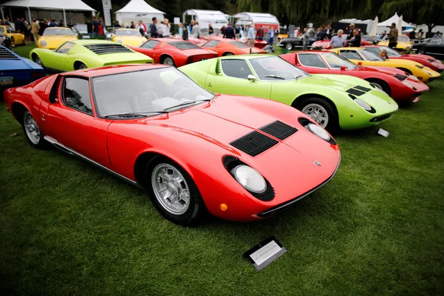 A 1969 Lamborghini Miura P400 is displayed during The Quail, A Motorsports Gathering, in Carmel, California, U.S. August 19, 2016. (Photo by Michael Fiala/Reuters/Courtesy of The Revs Institute)