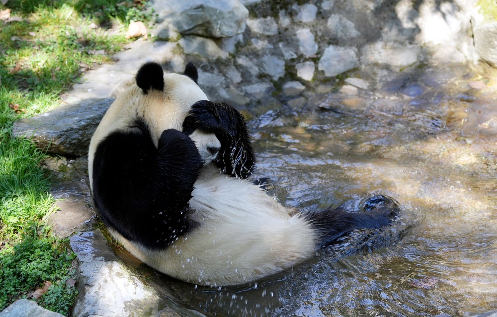 A Look at Life in China