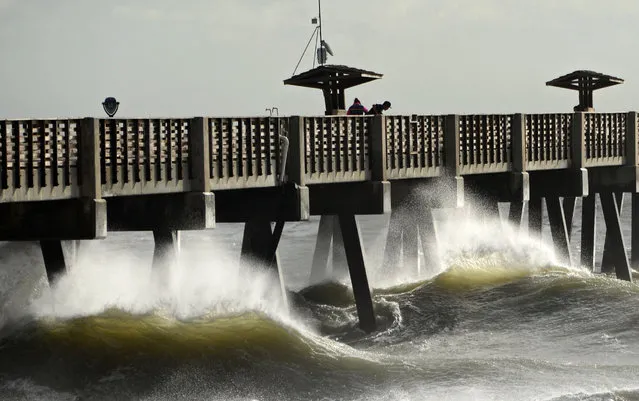 People venture out onto the Jacksonville Beach Fishing Pier as waves crash against the pilings, Friday, September 2, 2016, in Fla. Hurricane Hermine was downgraded to a tropical storm after making landfall on the gulf coast of Florida. (Photo by Bob Mack/The Florida Times-Union via AP Photo)