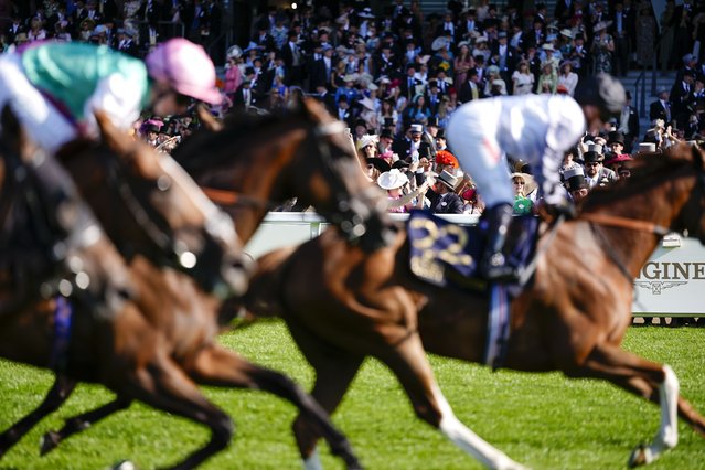 Racegoers look on as runners in The Kensington Palace Stakes race towards the finish on day two during Royal Ascot 2025 at Ascot Racecourse on June 18, 2025 in Ascot, England. (Photo by Alan Crowhurst/Getty Images for Ascot Racecourse)