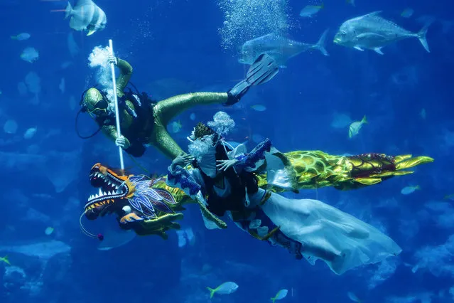 A diver performs an underwater dragon dance performance with a “Sea Goddess” at the S.E.A Aquarium Open Ocean Habitat at Resorts World Sentosa on February 8, 2018 in Singapore. On February 16, people around the world will welcome the Year of the Dog, one of the most anticipated holidays on the Chinese calendar. Also known as the Spring festival or the Lunar New Year, the celebrations last for about 15 days. (Photo by Suhaimi Abdullah/Getty Images)