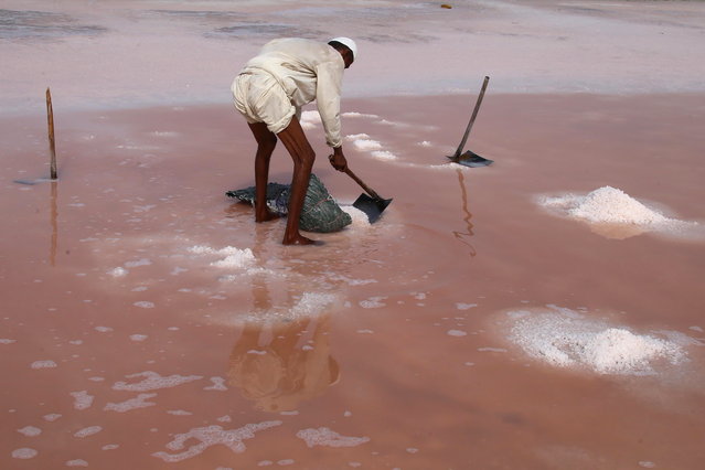 A man extracts sea salt from a salt field in Sandspit, on the outskirts of Karachi, Pakistan, 12 July 2025. A traditional occupation in Karachi's coastal areas, the manual extraction of salt from seawater through solar evaporation in shallow ponds or salt pans provides livelihoods for numerous residents. (Photo by Rehan Khan/EPA)