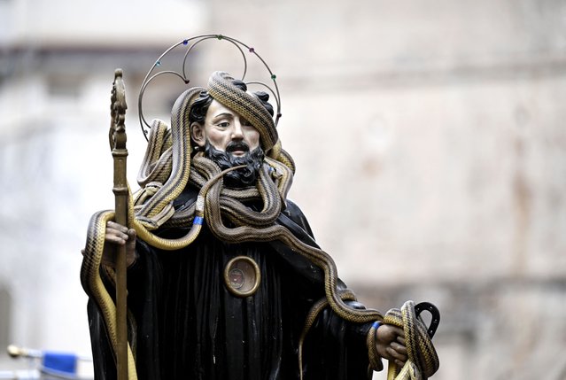 Live snakes cover the statue of St Dominic during the procession in the village of Cocullo, central Italy, on May 1st, 2024, as part of the traditional festival of the “Serpari” (snake catchers). All the snakes found days before the festival are identified with a microchip, measured, weighed and subjected to laboratory tests by biologists as part of a study on the sensitivity of snakes to seismic movements. Each first of May the small village of Cocullo honors St. Dominic di Sora, patron saint protecting against snakebites and toothache. The snake catchers are also taking part in the monitoring of the snakes species in the region by taking part in a study carried out by a team of researchers from the Aldo Moro University of Bari and the Max Planck Institute. In some specimens a small transmitter is inserted to allow the monitoring of seismological activities, through satellite technology. At the end of the day, the snakes are released back into nature. (Photo by Tiziana Fabi/AFP Photo)