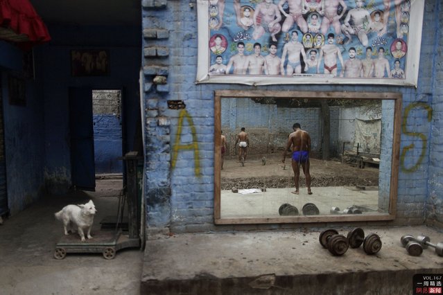 A dog looks at Pakistani Kushti wrestlers, right, reflected on a mirror, attend their daily training session in Lahore, Pakistan, on February 26, 2013. (Photo by Muhammed Muheisen/AP Photo)