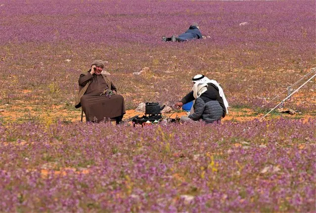 Two men prepare tea in a field covered with lavendar-coloured blooms in Rafha town, near the border with Iraq, on February 13, 2023. The desert bloom triggered by heavier than usual winter rains has carpeted the sand dunes of northern Saudi Arabia in purple blooms, drawing sightseers from across the Arabian peninsula. (Photo by Fayez Nureldine/AFP Photo)