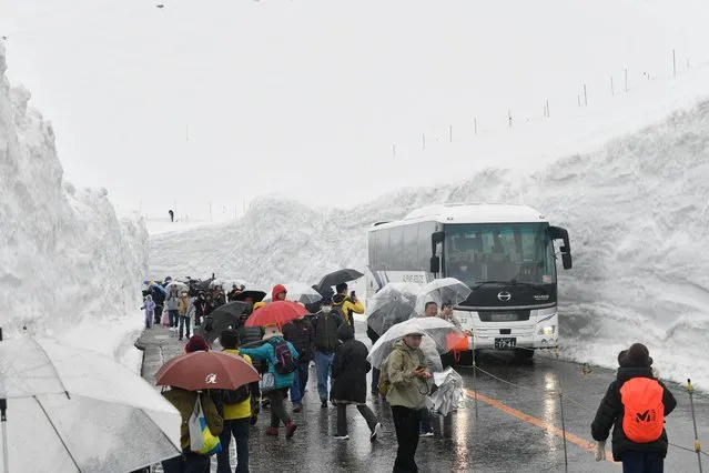 Tourists enjoy viewing the snow walls, called Yuki no Otani, standing high on both sides of the stretch on the Tateyama Kurobe Alpine Route in Tateyama Town, Toyama Prefecture on April 15, 2023. The route, a popular and scenic mountain pass that runs through the Northern Japanese Alps in Toyama and Nagano prefectures, opened its entire stretch on the sane day, ending the winter closure period.(Photo by Noboru Hosono/Yomiuri/The Yomiuri Shimbun via AFP Photo)