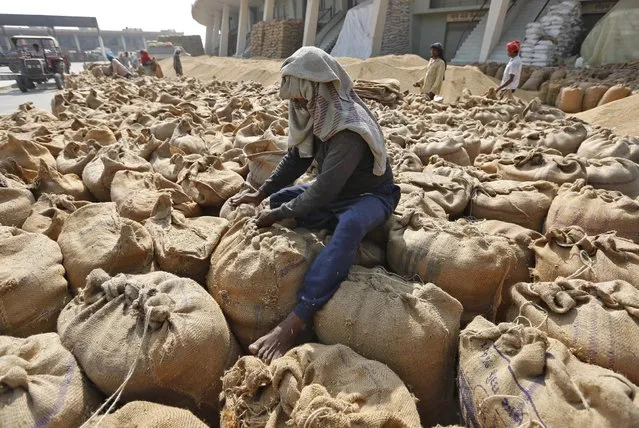 A worker ties a sack filled with rice at the Agricultural Produce Market Committee (APMC) market yard on the outskirts of Ahmedabad, India, December 1, 2015. (Photo by Amit Dave/Reuters)