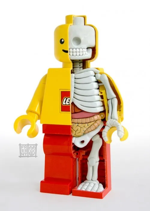 Lego Anatomy by Jason Freeny