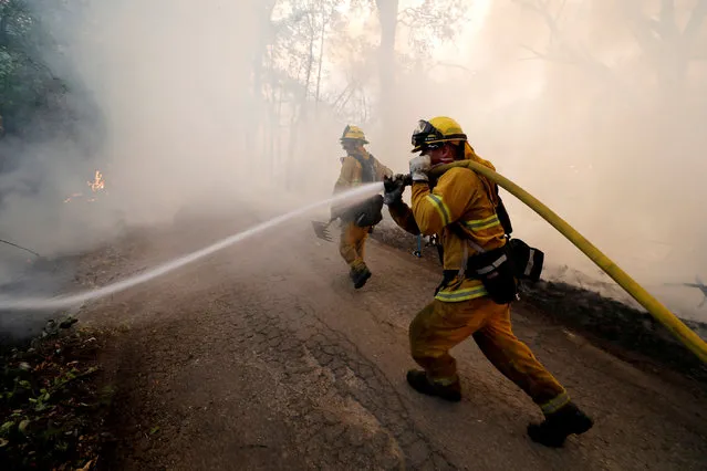 A firefighter knocks down hotspots to slow the spread of the River Fire (Mendocino Complex) in Lakeport, California, U.S. July 31, 2018. (Photo by Fred Greaves/Reuters)