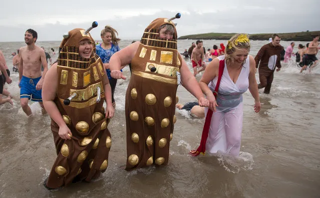Ladies dressed as Daleks run from the sea as they take part in the annual New Year's Day swim at Barry Island as several hundred swimmers marked start of 2016 by taking a dip in the sea in Whitmore Bay on January 1, 2016 in Barry, Wales. Since 1984, when a group of five friends from the Jackson's Bay life saving club decided that they would shake off their New Year's hangovers with a swim in the sea, the annual swim has grown into one of the town's most popular calendar events. (Photo by Matt Cardy/Getty Images)